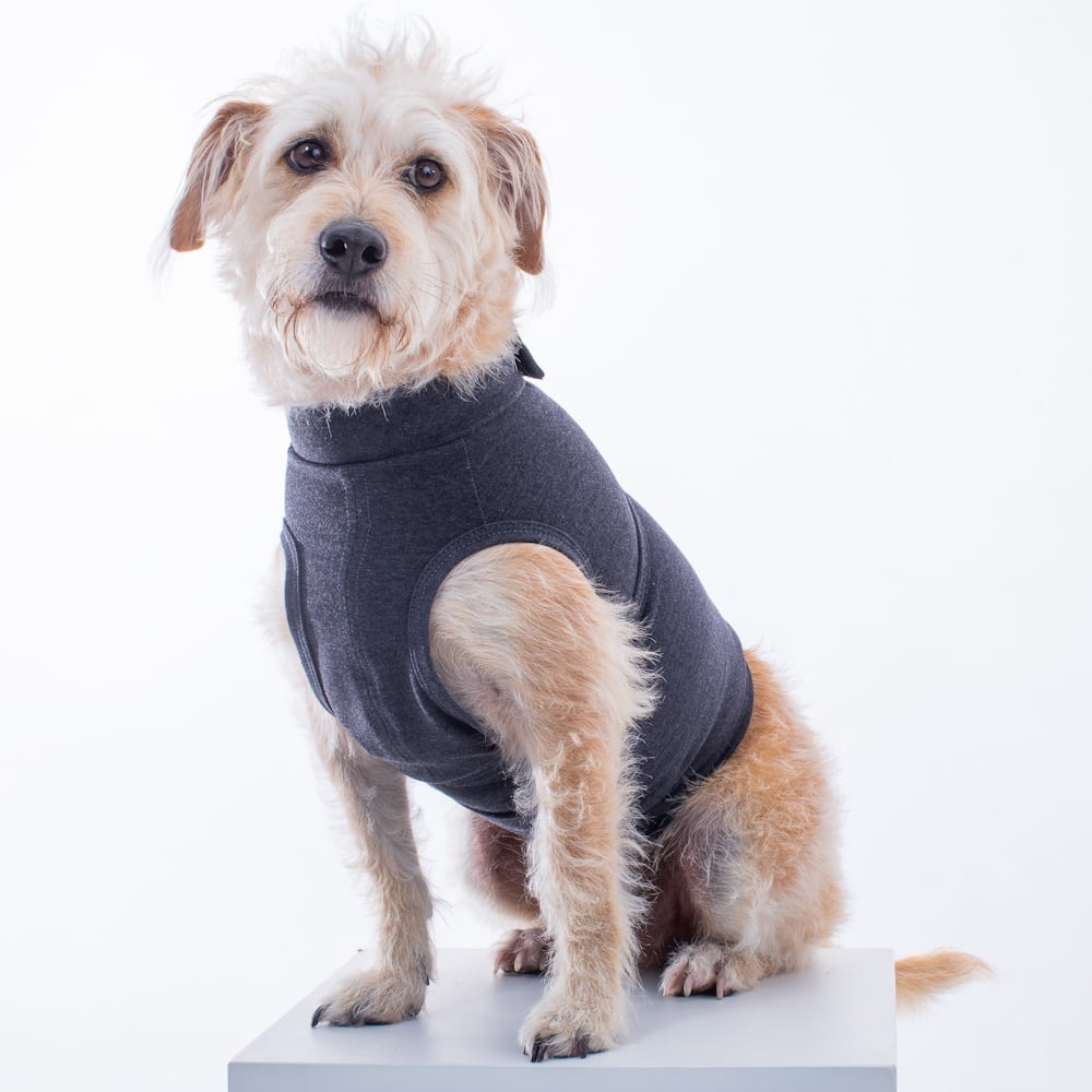 CHALECO CALMANTE CALMPET3