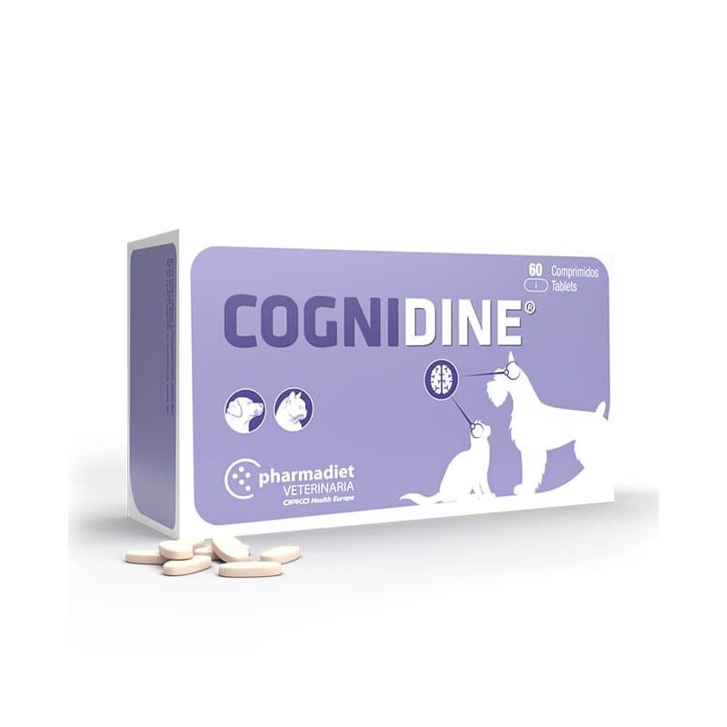 COGNIDINE1