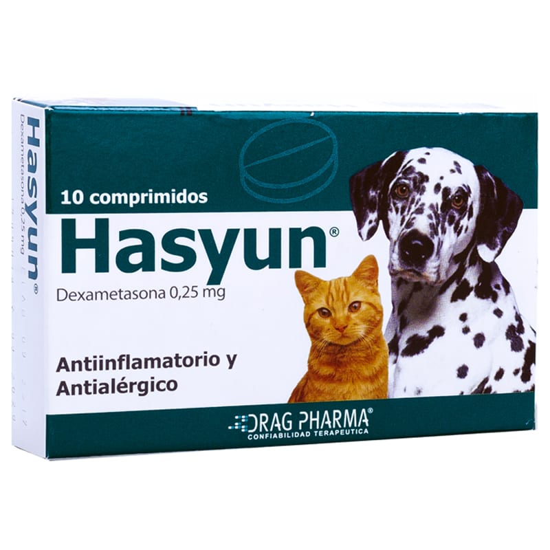 HASYUN1
