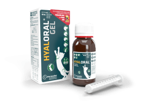 HYALORAL GEL ORAL 50 ml1