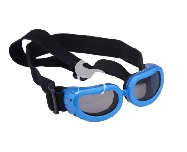 LENTES DE SOL1
