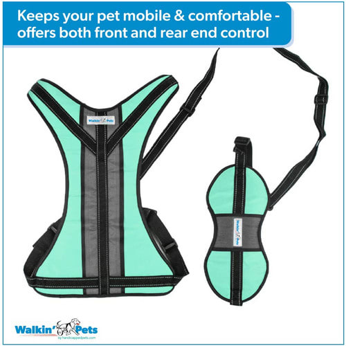 LIFT-N-STEP HARNESS1