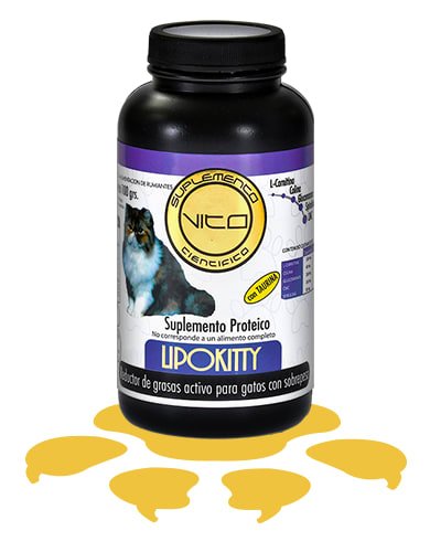VITO LIPOKITTY1