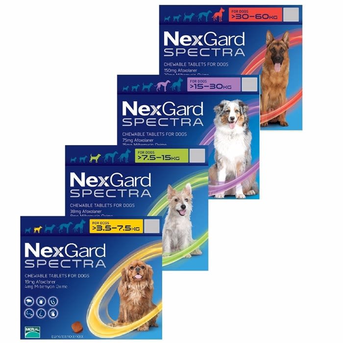 NEXGARD SPECTRA 3 MASTICABLES PARA PERROS1