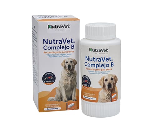 NUTRAVET COMPLEJO B1