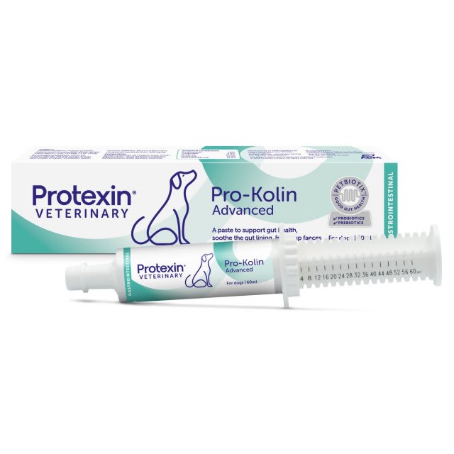 PRO-KOLIN ADVANCED PARA PERRO 60 ML1