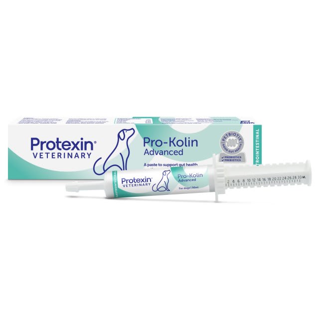 PROKOLIN ADVANCED PARA PERRO 30 ML1