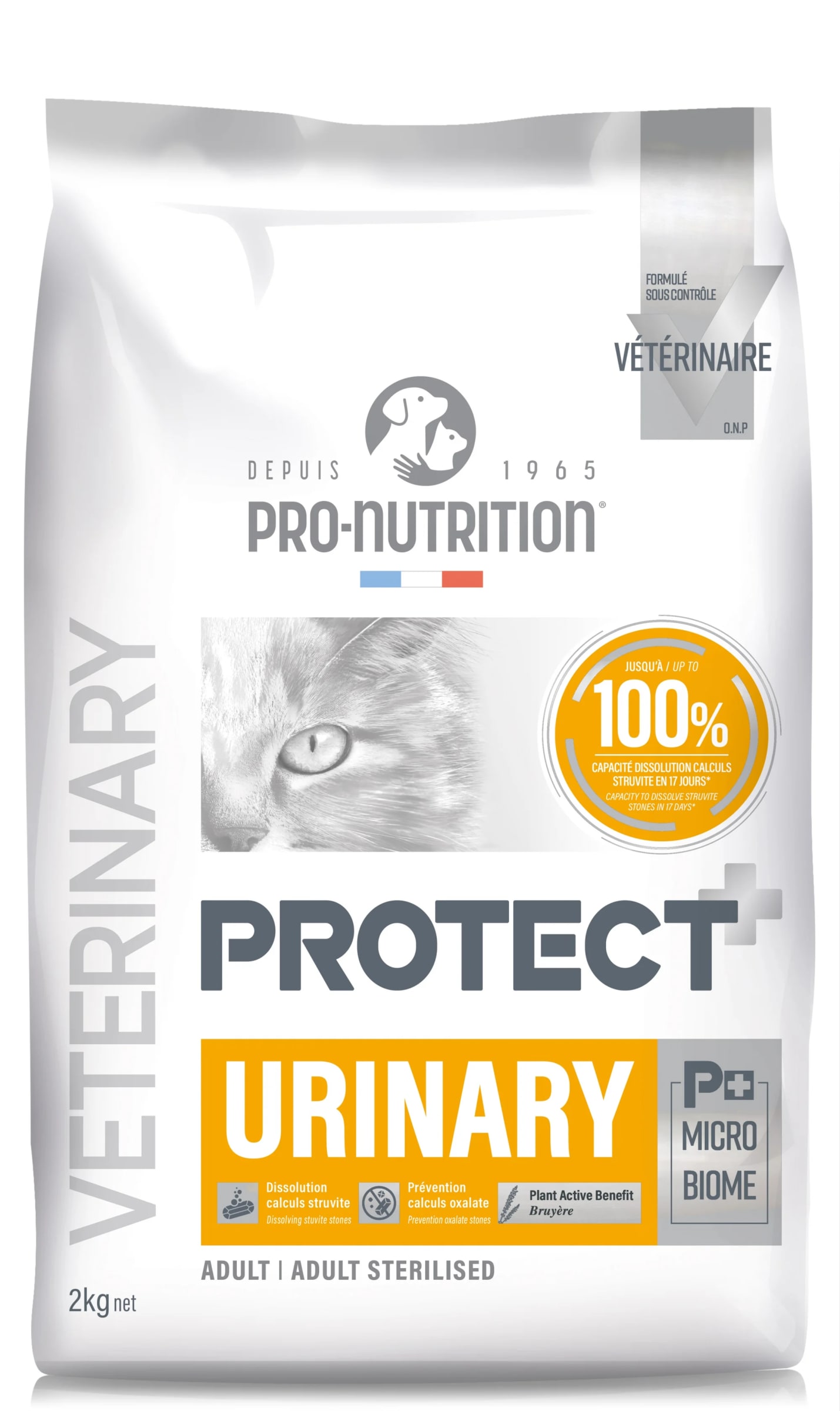 PROTECT URINARY FELINO 2 KG1