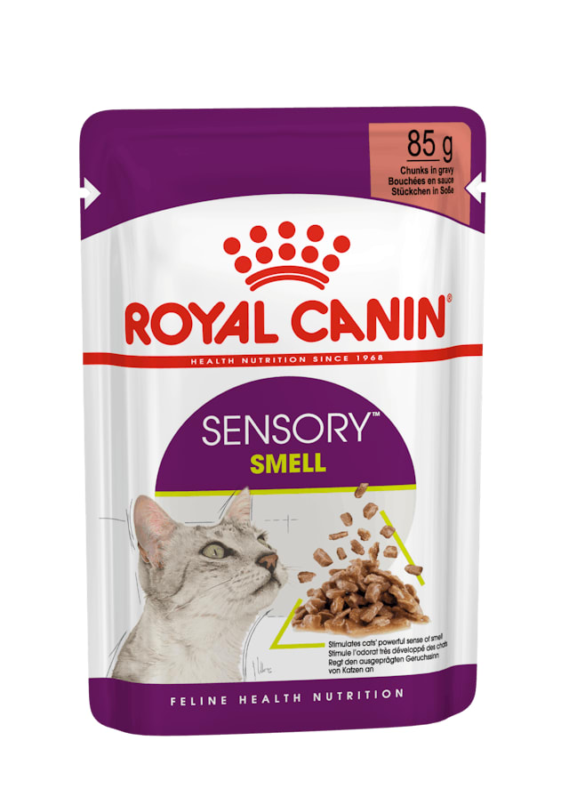 ROYAL CANIN SOBRE SENSORY SMELL1