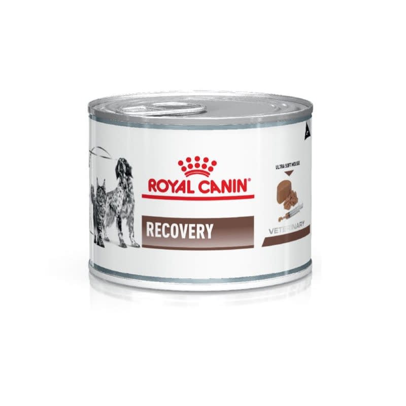 ROYAL CANIN LATA RECOVERY1