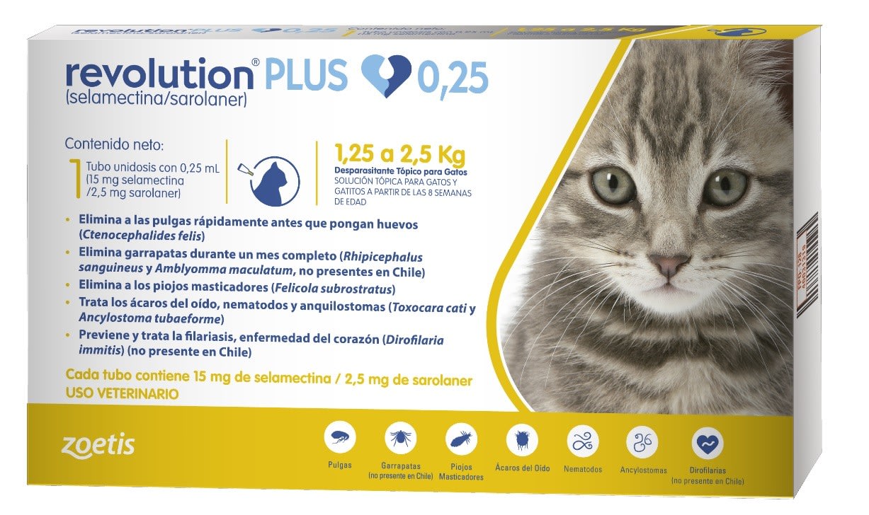 REVOLUTION PLUS GATO 1.25 - 2.5 KG1