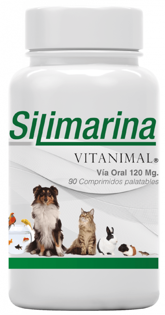 SILIMARINA 90 COMPRIMIDOS1