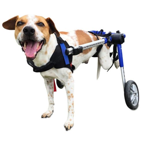 SILLA DE RUEDAS MEDIUM1