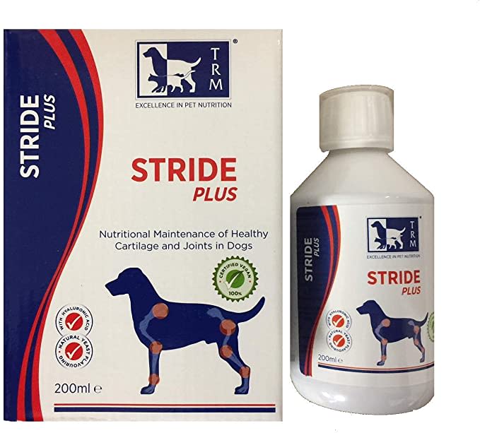 STRIDE PLUS PERRO1