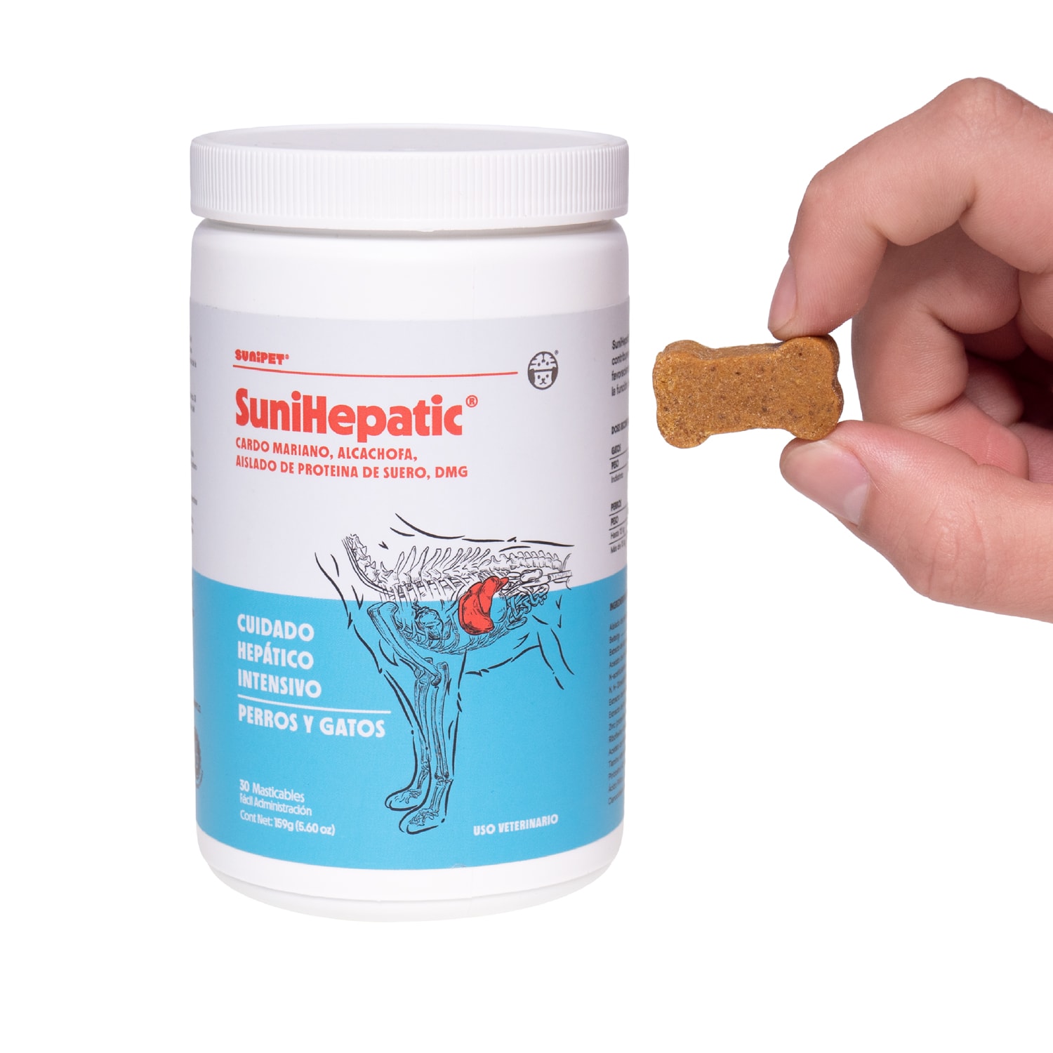 SUNI HEPATIC1