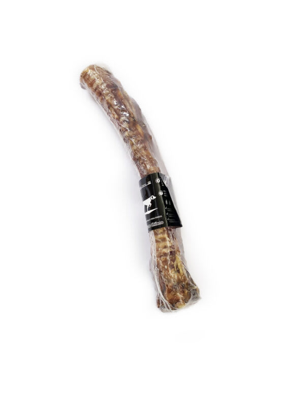 BUGME TRAQUEA DE VACUNO DESHIDRATADA 30 CM1