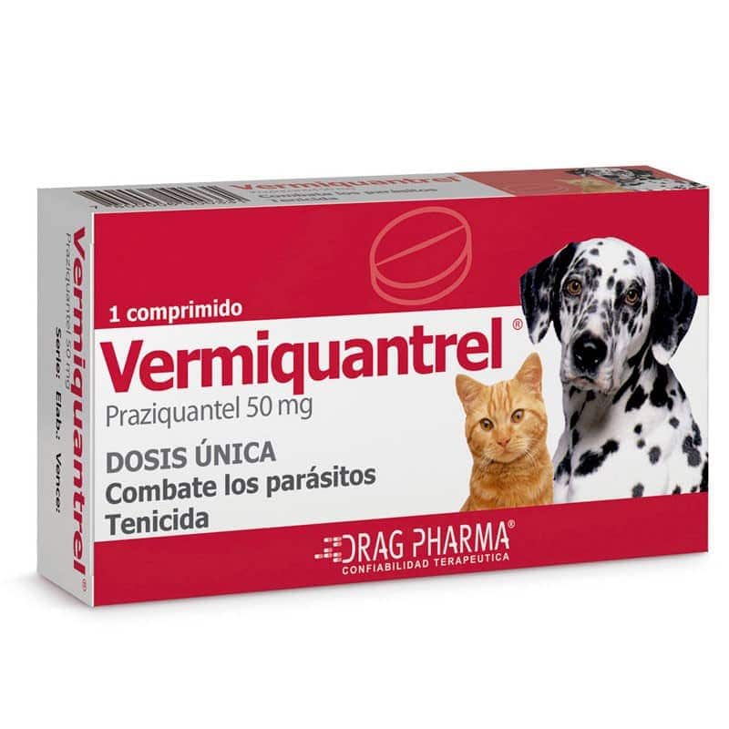 VERMIQUANTREL1