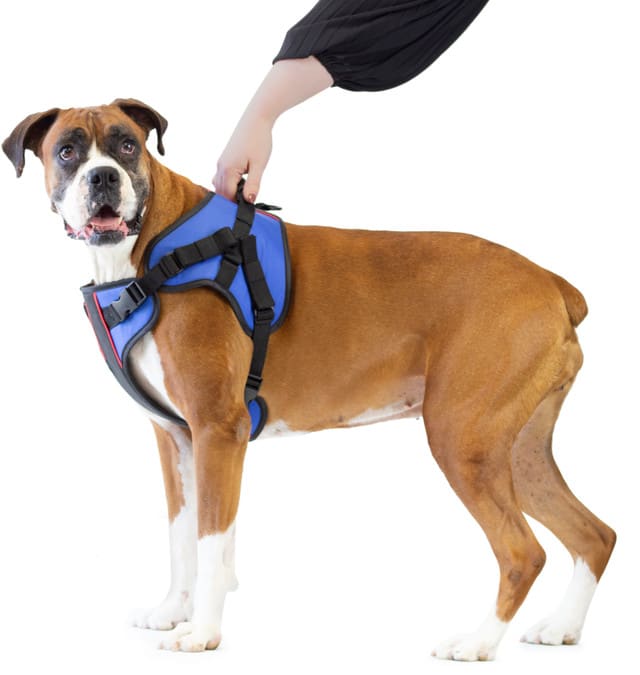 WALKIN LIFT COMBO DELANTERO - ARNES DELANTERO1