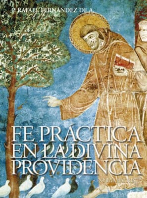 Fe Práctica en la Divina Providencia - P. Rafael Fernández de A.