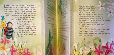 Ladybird and her spots - M. Eugenia Coeymans