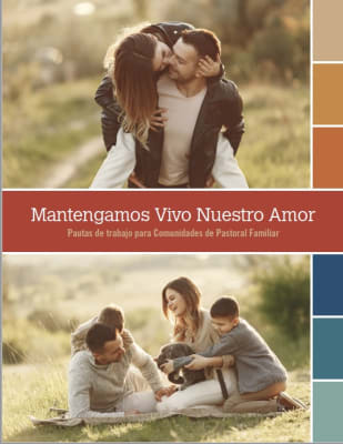 Mantengamos vivo nuestro amor. Pautas de trabajo para comunidades de pastoral familiar – P. Luis Ram
