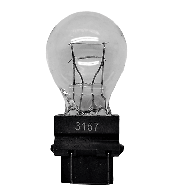 AMPOLLETA COLA PEZ 2C 12V 3157C