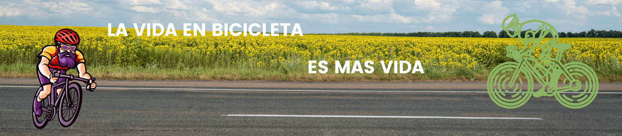 Bicicletas Montañeras