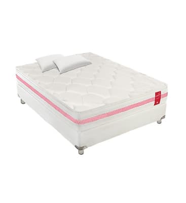 Cama Box Tarima Paraíso  Medallón Ergo Queen + 2 Almohadas + Protector