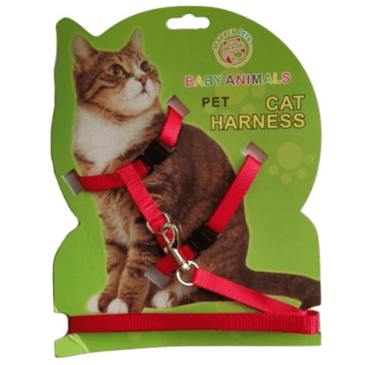 ARNES COLORES GATO