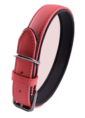COLLAR ECOCUERO COLORES