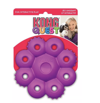 KONG QUEST STAR PODS