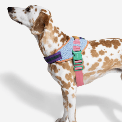 ZEEDOG FLYHARNESS GALAXY