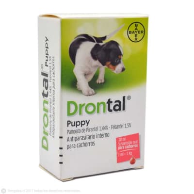 DRONTAL PUPPY