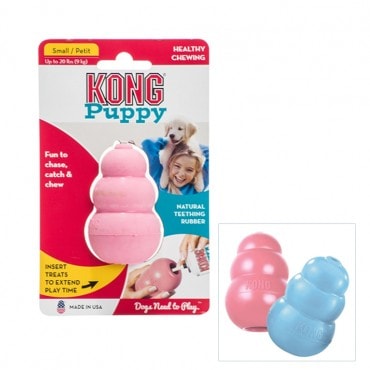 KONG PUPPY1