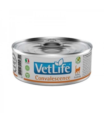 VETLIFE WF CAT CONVALESCENCE