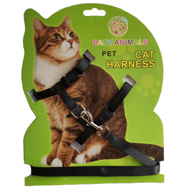 ARNES COLORES GATO2