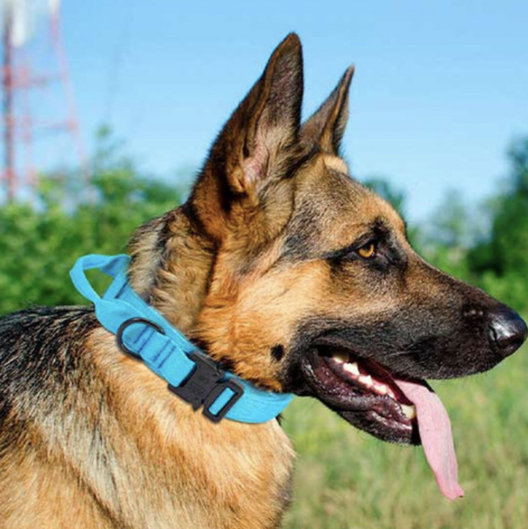 COLLAR TACTICO2
