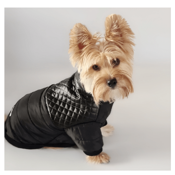 PARKA NEGRA2