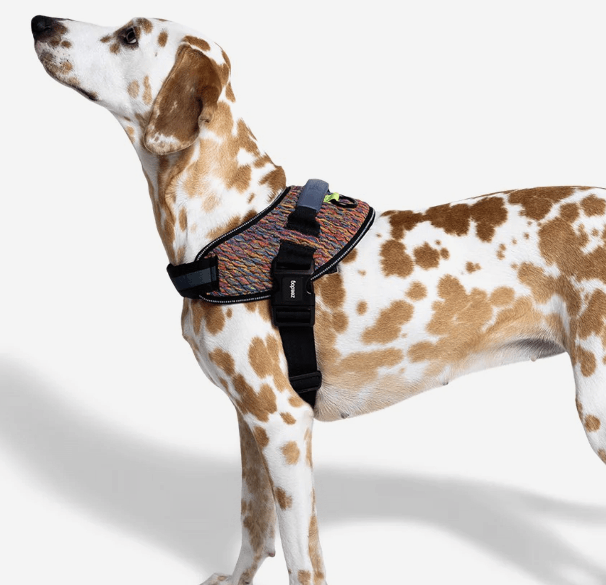 ZEEDOG FLYHARNESS VORTEX2