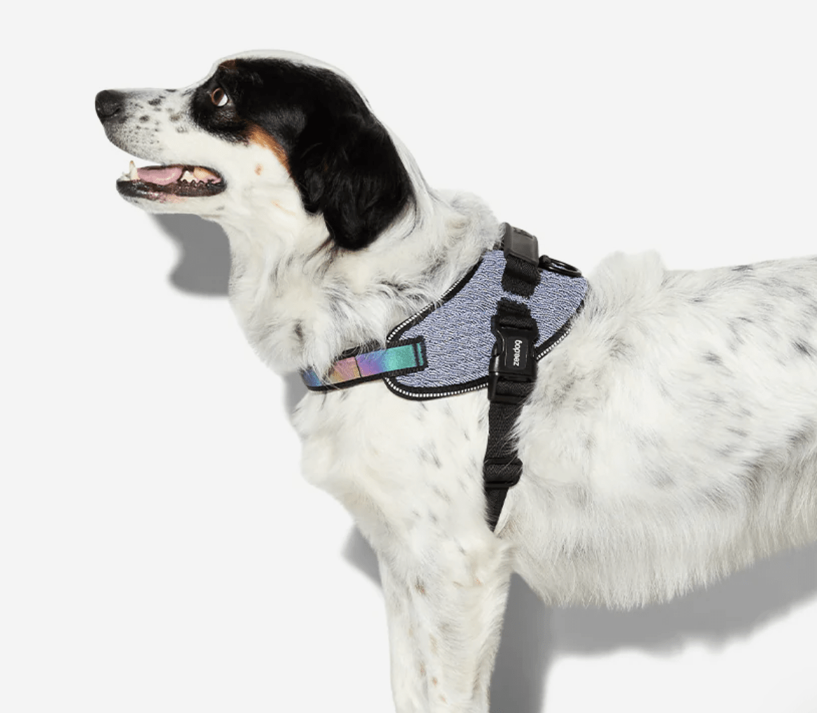 ZEEDOG FLYHARNESS URBAN2