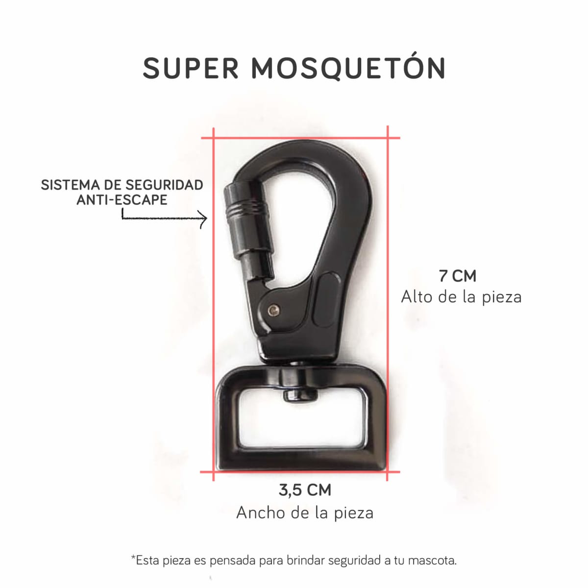 MUMUMURUFF CORREA PALTOSA2