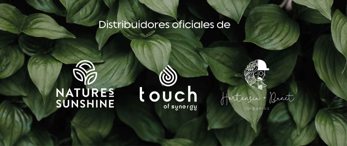 bannerdescuento sunshine v3 web12134926 bannerdescuento sunshine v3 web12134926