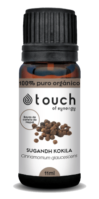 Bayas de Canela de Nepal (11 ml)