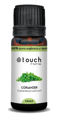 Cilantro (11 ml)