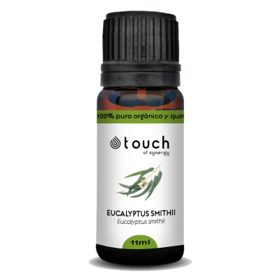 Eucalipto Smithii (11 ml)