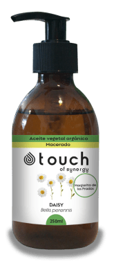 Margarita de los prados