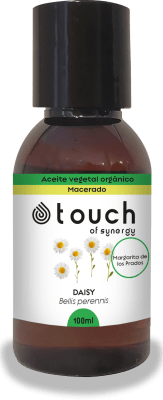 Margarita de los prados