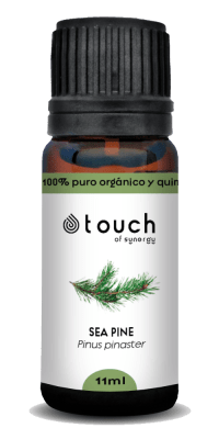 Pino Maritimo (11 ml)