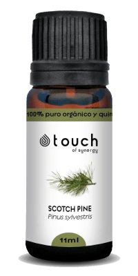 Pino Silvestre (11 ml)