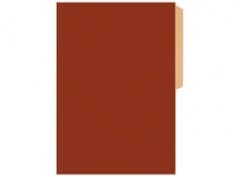 CARPETA CARTULINA PIG.BRILLANTE BURDEO BUHO